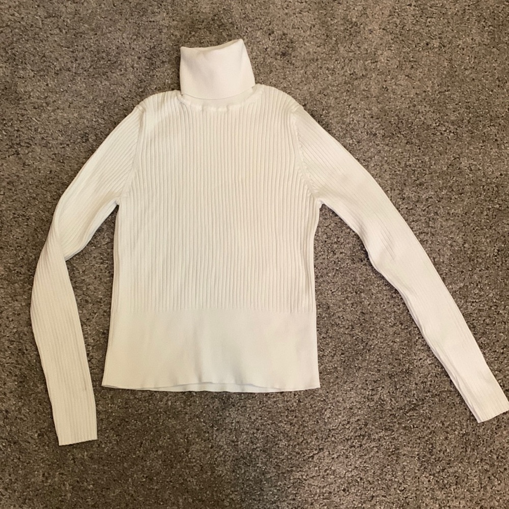 Zara Turtleneck